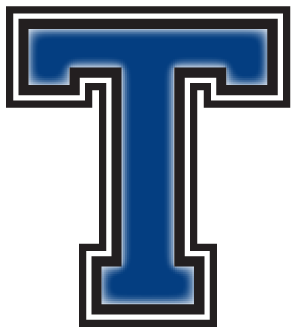 Toronto Furies 2011-2015 Primary Logo iron on heat transfer